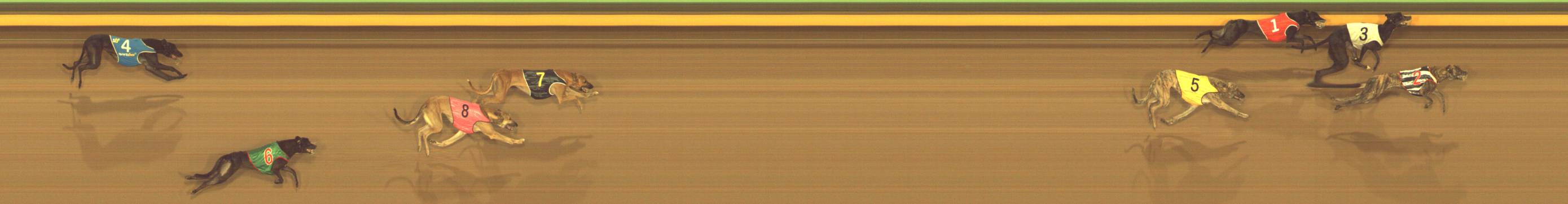 Race result finish photo